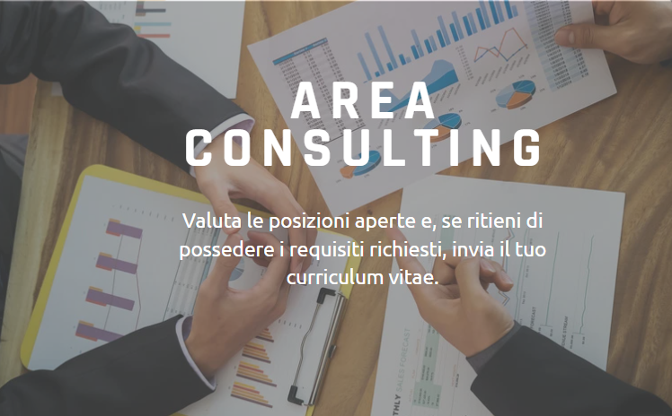 posizioni aperte area consulting